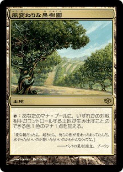 画像1: Exotic Orchard/風変わりな果樹園 (1)