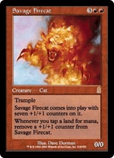 Foil》Blistering Firecat/焦熱の火猫 - カードショップ 黒枠