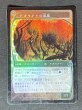 画像1: 《実物写真掲載商品》《Foil》Dryad Arbor/ドライアドの東屋 《状態:SP》#1083 (1)