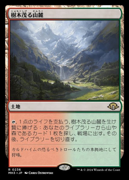 画像1: 《Foil》Wooded Foothills/樹木茂る山麓 (1)