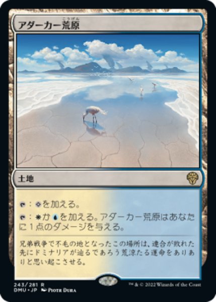 画像1: 《Foil》Adarkar Wastes/アダーカー荒原 (1)