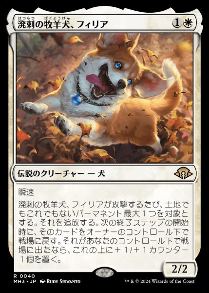 画像1: Phelia,Exuberant Shepherd/溌剌の牧羊犬、フィリア (1)