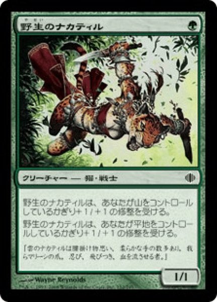 画像1: 《Foil》Wild Nacatl/野生のナカティル (1)